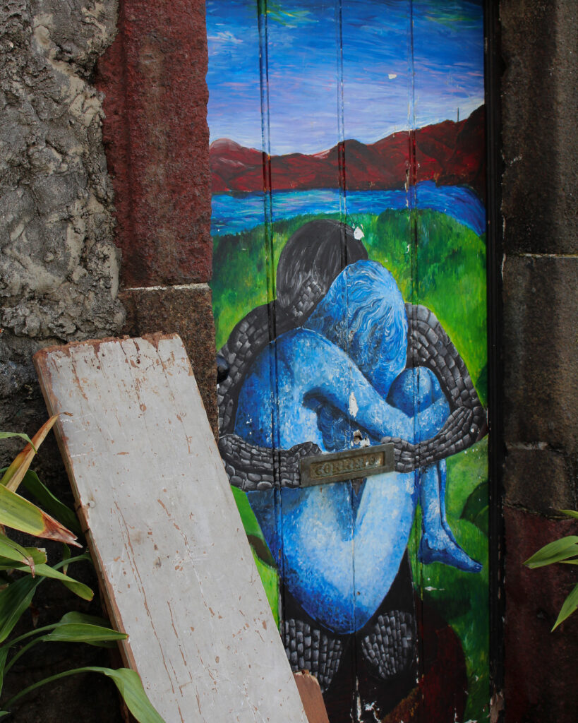 funchal painted doors