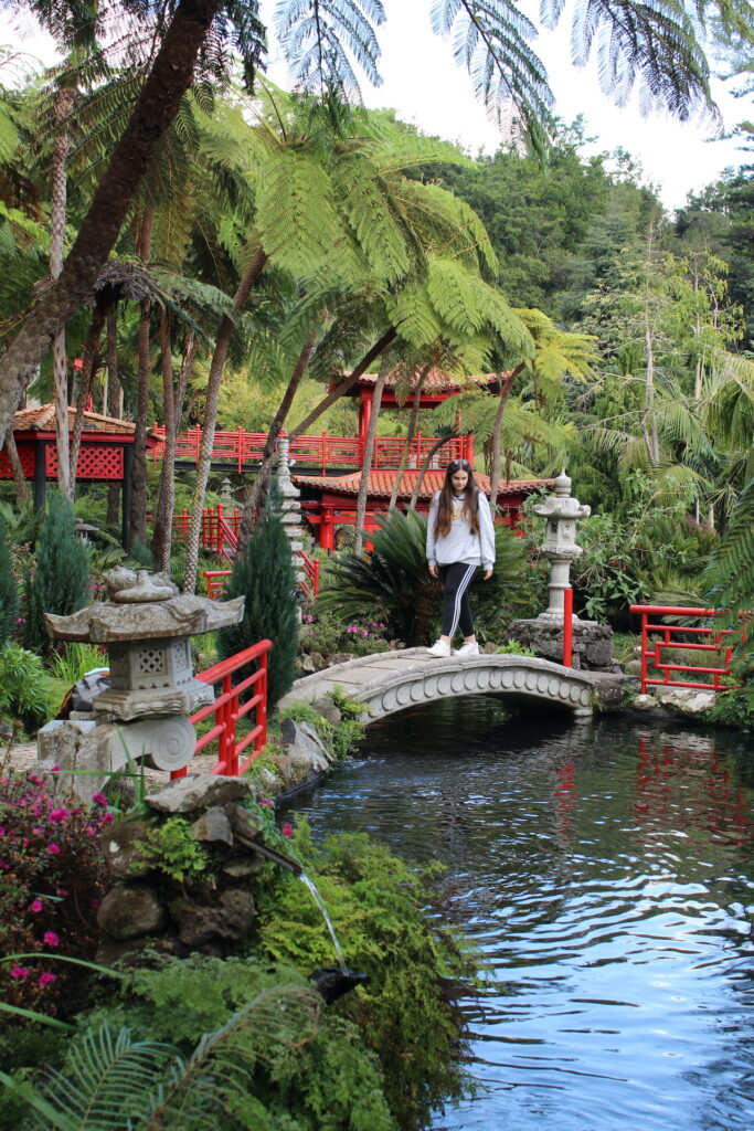 Japanese garden