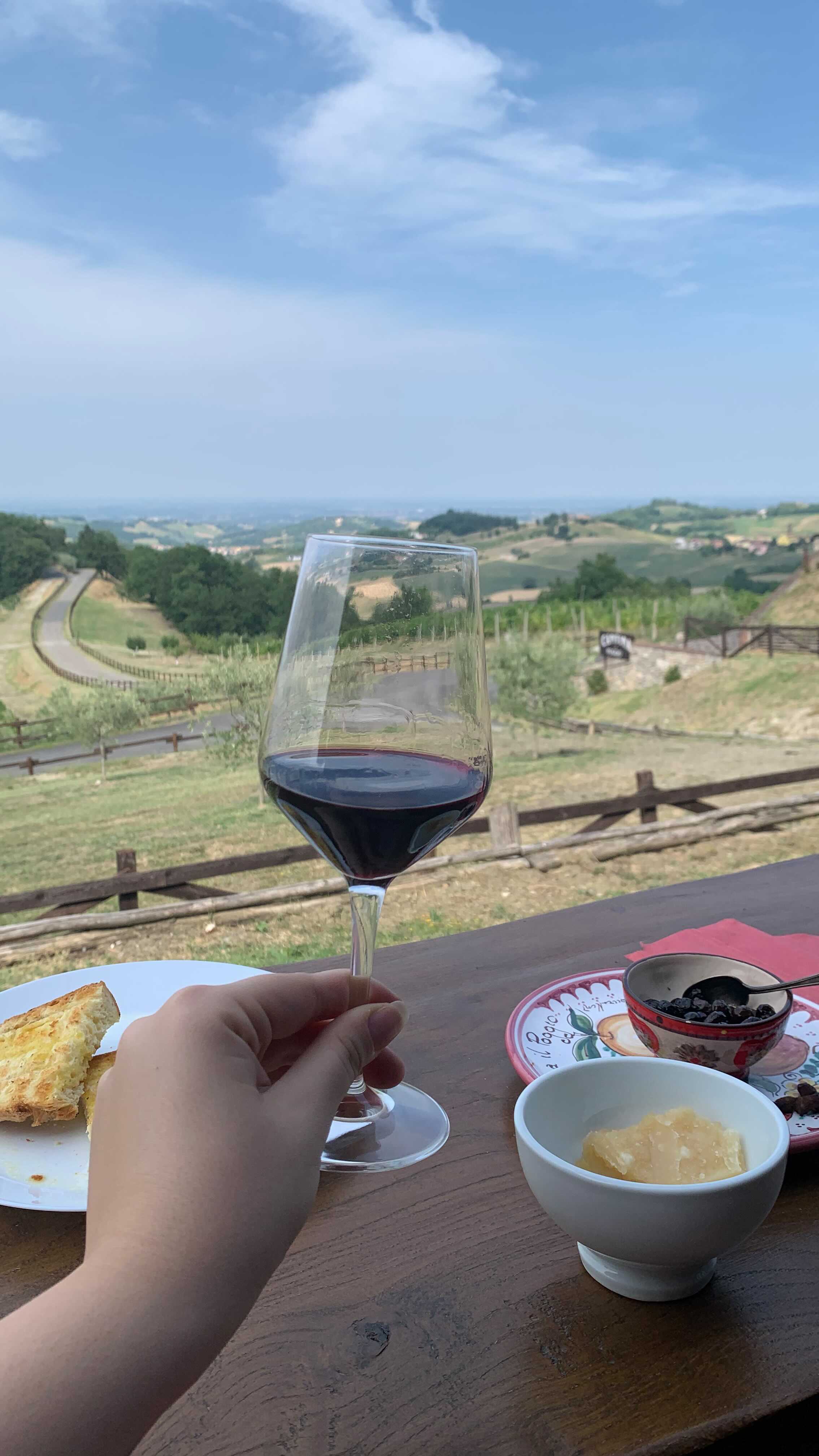 Spent 3 days in the Parma hills 🇮🇹❤️, ate a lot of cheese and drank a lot of wine 🐝🍷 #parma #italy @visitemilia.official @visitparma @visitsalsomaggiore.official #visititaly #travel #food #wine #cheese #parmigiano #oliveoil #italianfood #italiansummer #salsomaggiore #emiliaromagna #summer