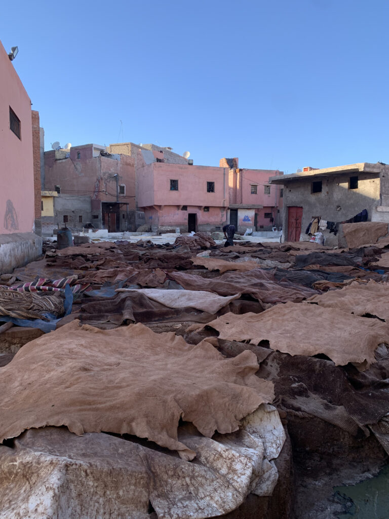 moroccan tannery